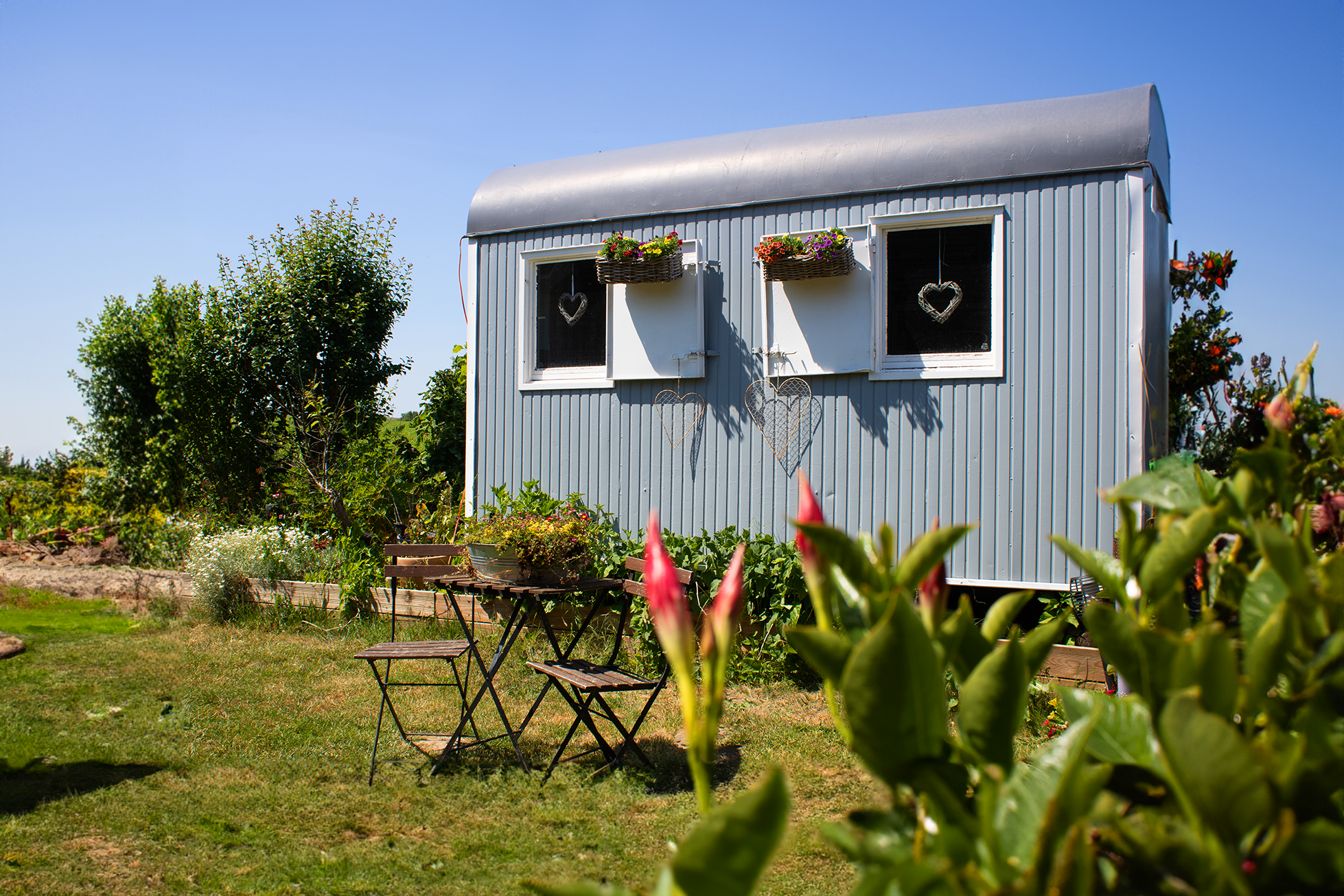 Blauer Bauwagen Alfons mit Blumenkästen im Garten